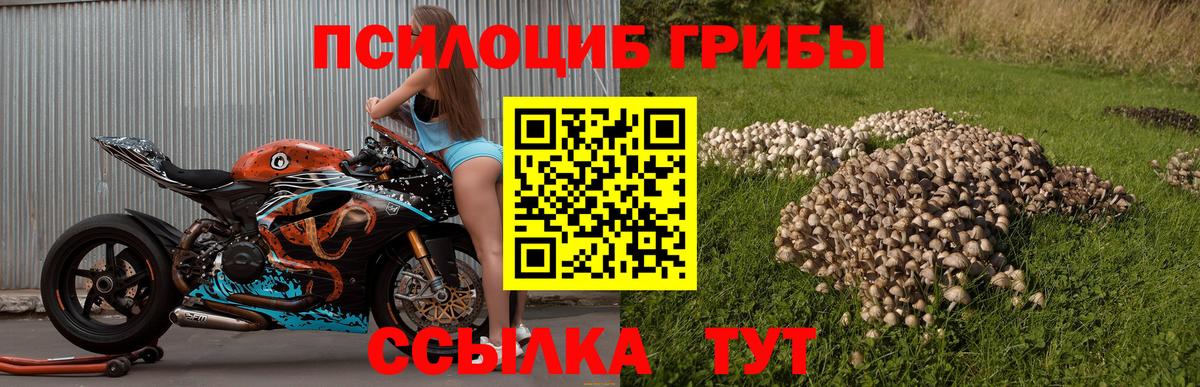 Галлюциногенные грибы ЛСД Балтийск